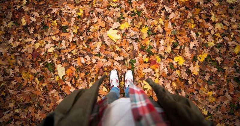 Hörspieltipps für herbstliche Tage