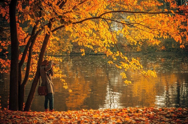 Herbst