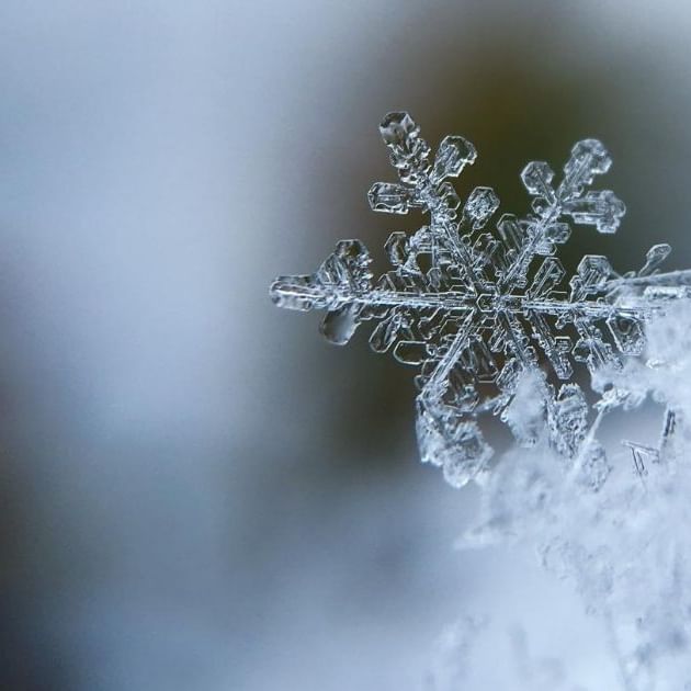 Fit durch den Winter