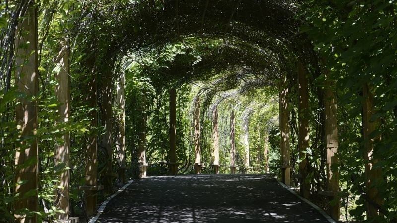 Lernparadiese im Freien Berlin
