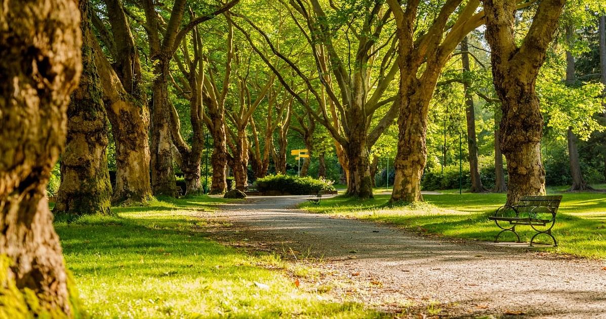 Lernparadiese im Freien in Berlin!