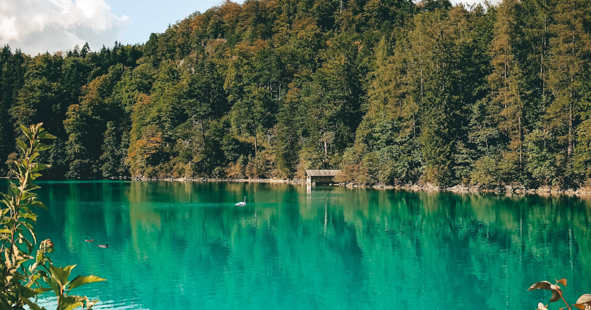 badeseen in nrw karte Seen in NRW: Die schönsten Badeseen zum Abkühlen   iamstudent badeseen in nrw karte Seen in NRW: Die schönsten Badeseen zum Abkühlen   iamstudent