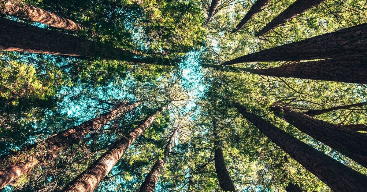 Natur in und um Berlin