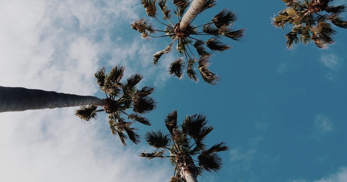 Sonne, Stand und Palmen im Tropical Islands