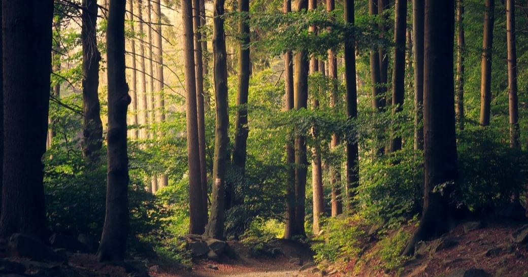 Https Encrypted Tbn0 Gstatic Com Images Q Tbn 3aand9gcs8q1 4s 3n8ggixlrvk5d8ykw Ofzmyrrlja Usqp Cau