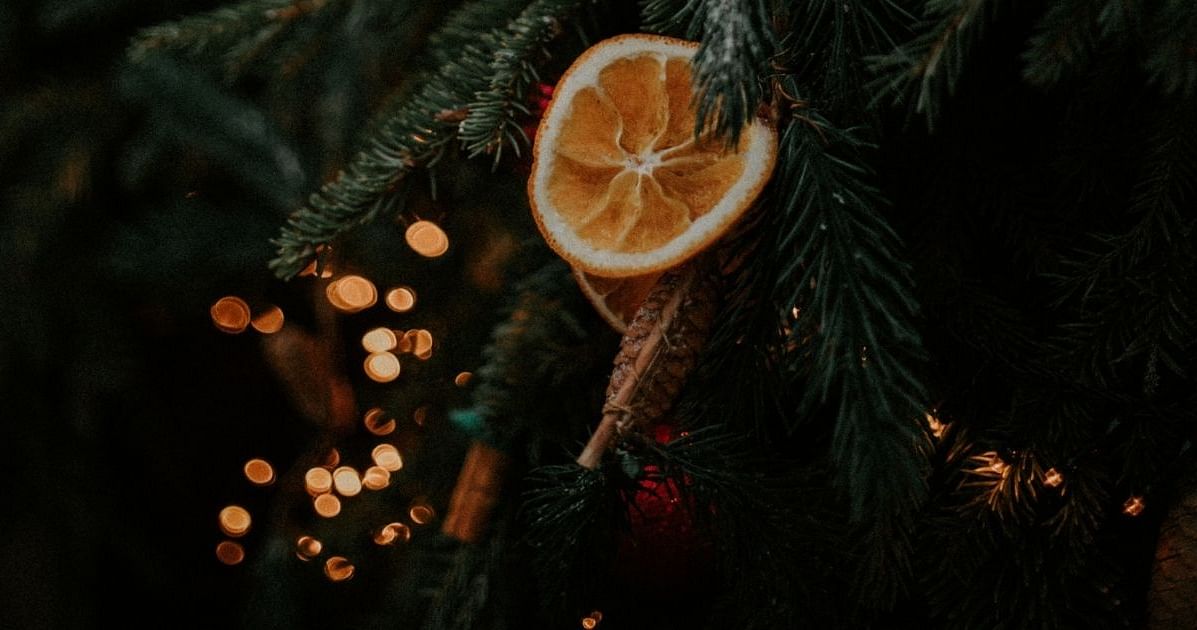 Tannenbaum-Upcycling: So erhält dein Weihnachtsbaum ein zweites Leben