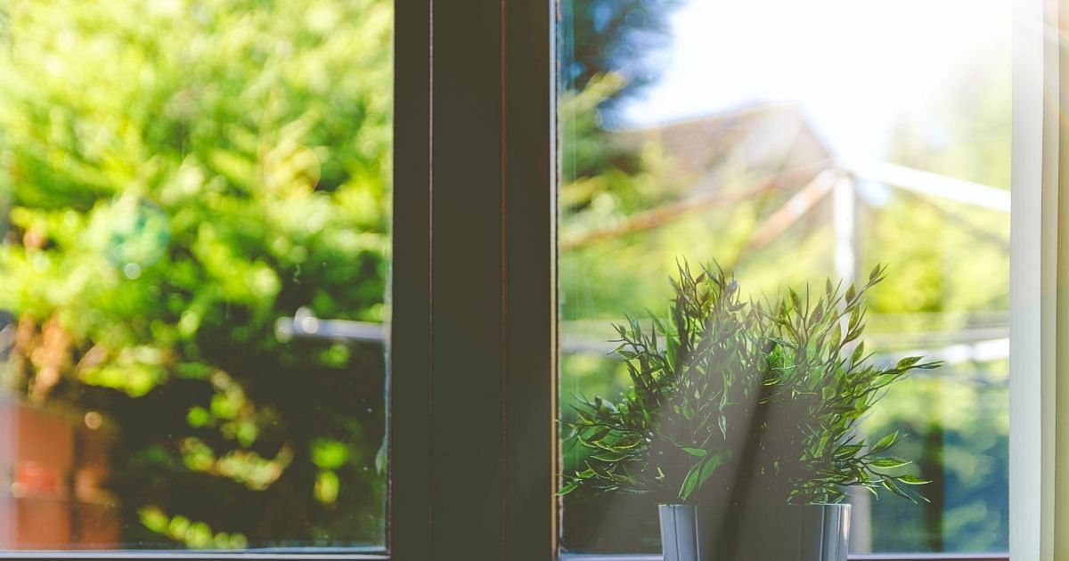 Umweltfreundliche DIY-Putzmittel für dein Zuhause: Fenster