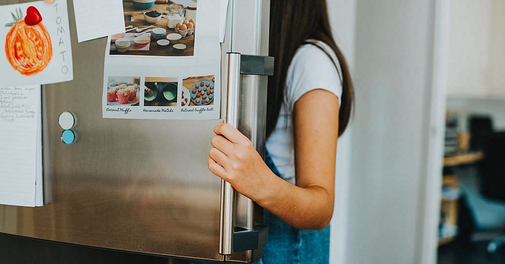 Umweltfreundliche DIY-Putzmittel für dein Zuhause: Kühlschrank