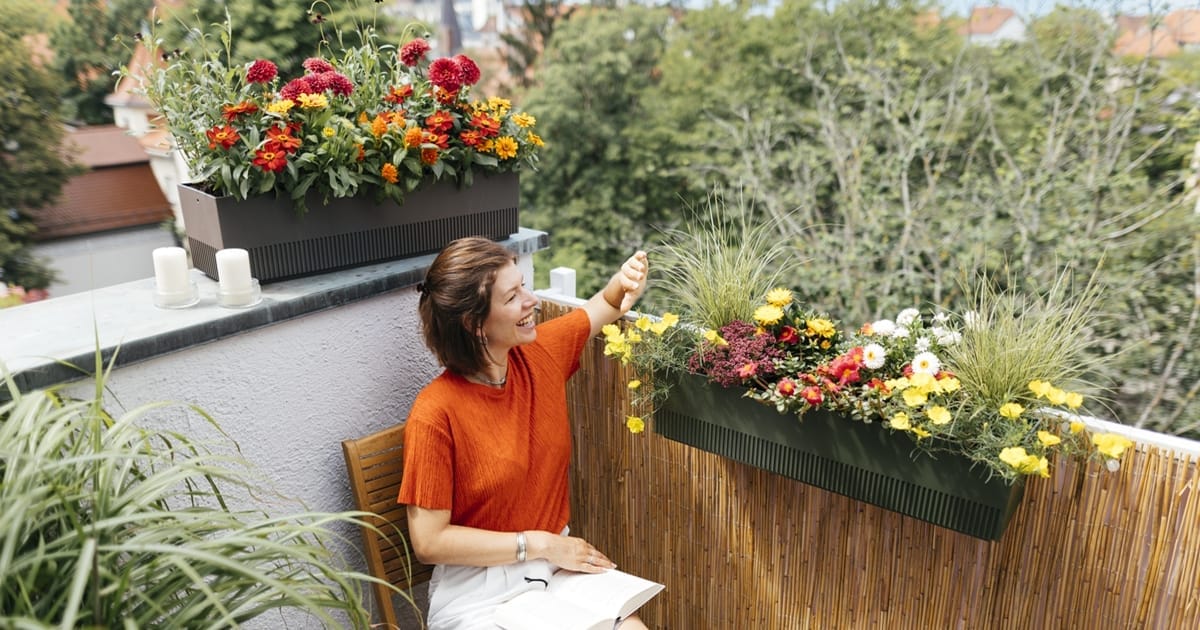 Der Plantura Rabattcode